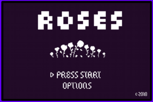 8 Bit Roses: A Nostalgic Display Font for Web Designers