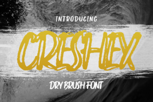 A Bold Dry Brush Font for Unforgettable Branding