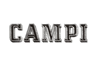 Campi: The Bold Display Font for Editorial Voices