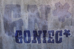 Goniec: A Heavy Display Typeface for Bold Digital Identity