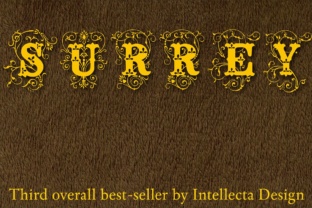 How the Surrey Font Gave My Brand a Polished Vintage Look