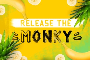 Monky: A Playful Display Font for Editorial Charm